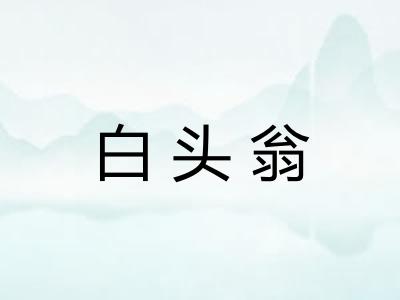 白头翁
