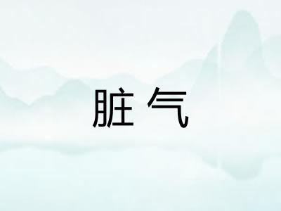 脏气