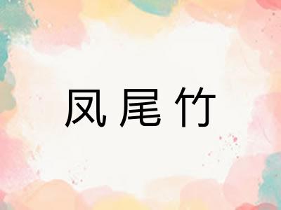 凤尾竹