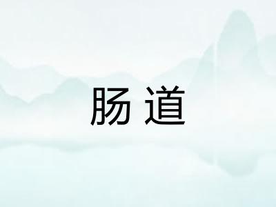 肠道