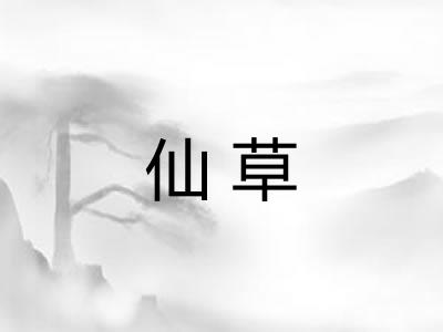 仙草
