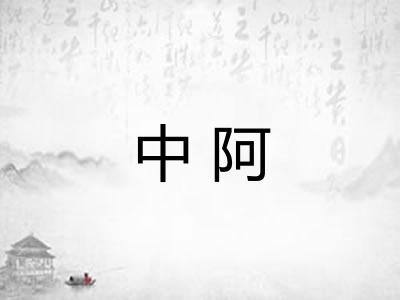 中阿