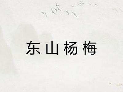 东山杨梅