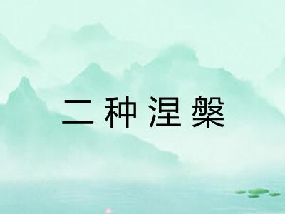 二种涅槃