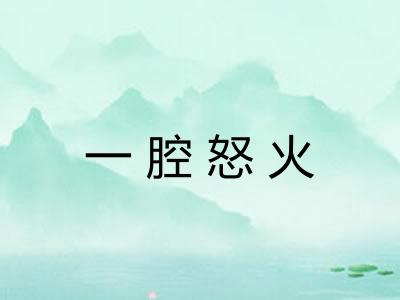 一腔怒火
