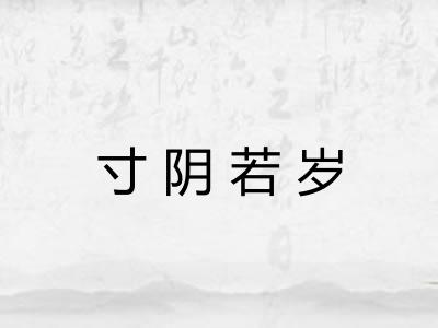 寸阴若岁