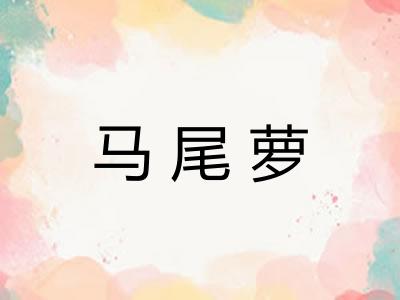 马尾萝