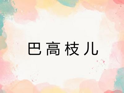 巴高枝儿