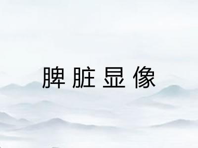 脾脏显像