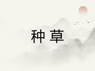 种草