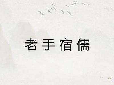 老手宿儒