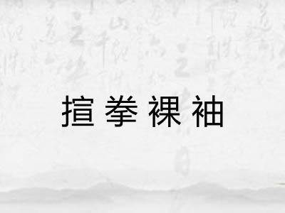 揎拳裸袖