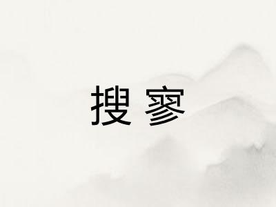 搜寥