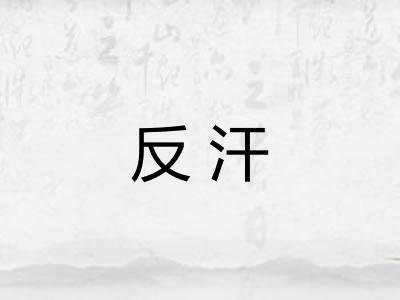 反汗
