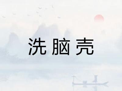 洗脑壳