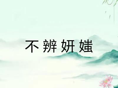 不辨妍媸