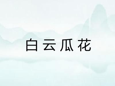 白云瓜花