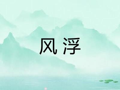 风浮