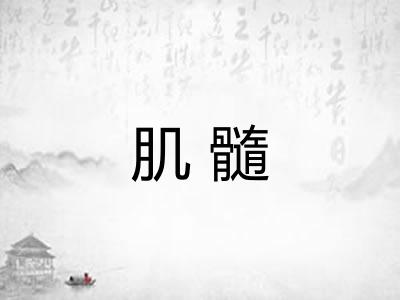肌髓