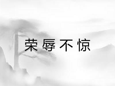 荣辱不惊
