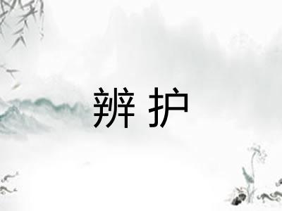 辨护