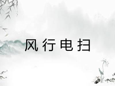 风行电扫