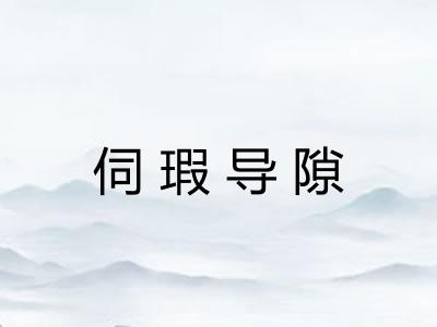 伺瑕导隙