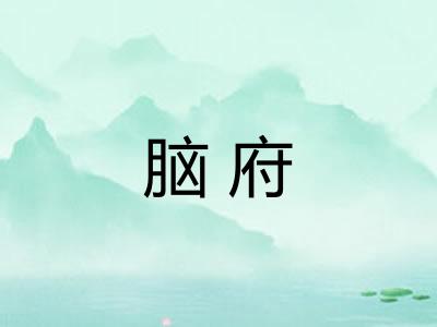 脑府