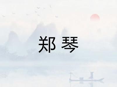 郑琴