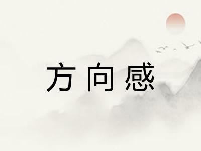 方向感