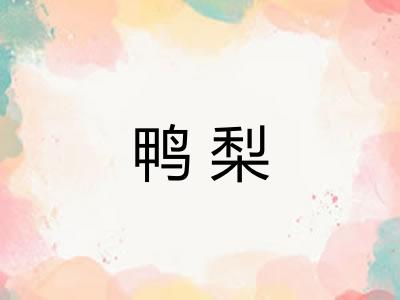 鸭梨