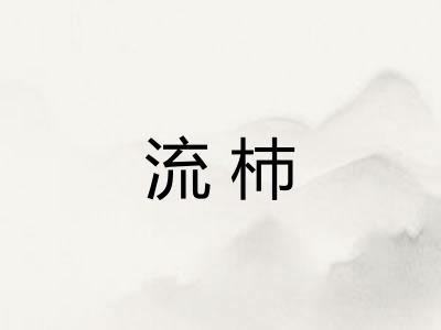 流杮