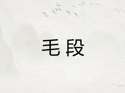 毛段