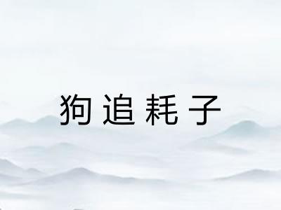 狗追耗子