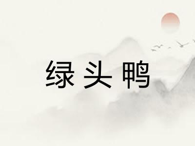 绿头鸭