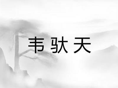 韦驮天