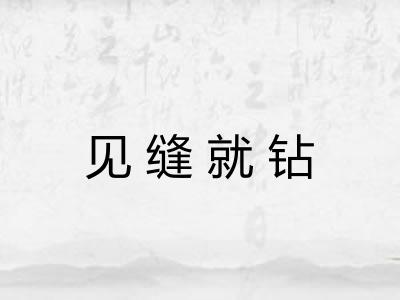 见缝就钻