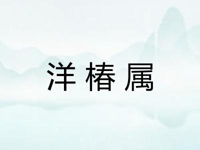 洋椿属