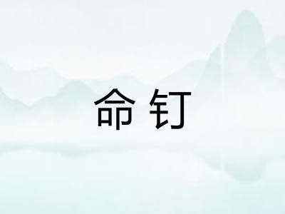 命钉