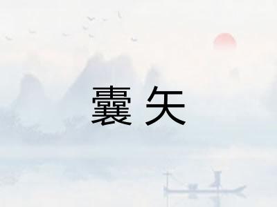囊矢