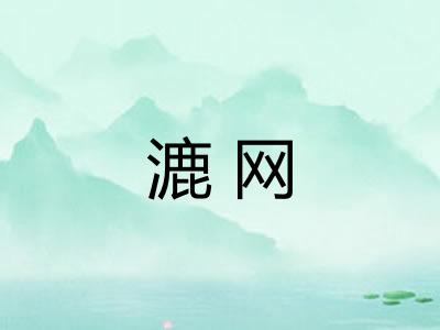 漉网
