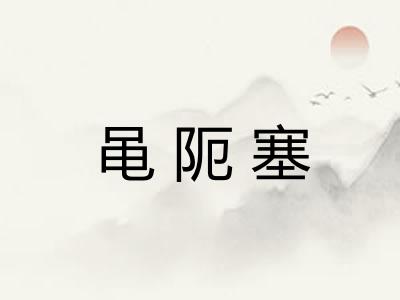 黾阨塞