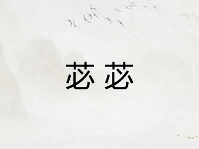 苾苾