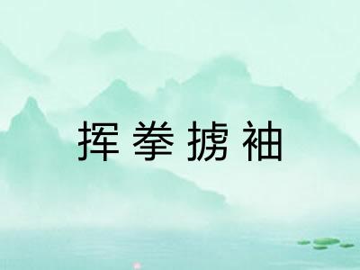 挥拳掳袖