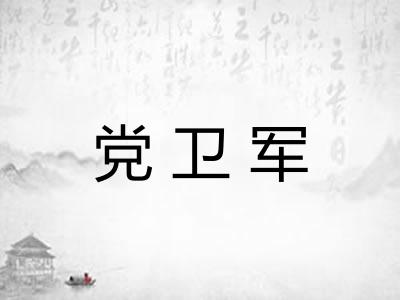 党卫军