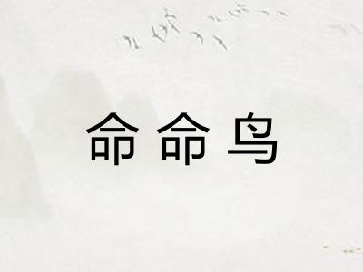 命命鸟