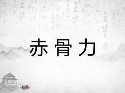 赤骨力