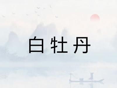 白牡丹