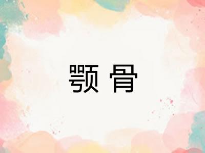 颚骨
