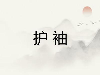 护袖